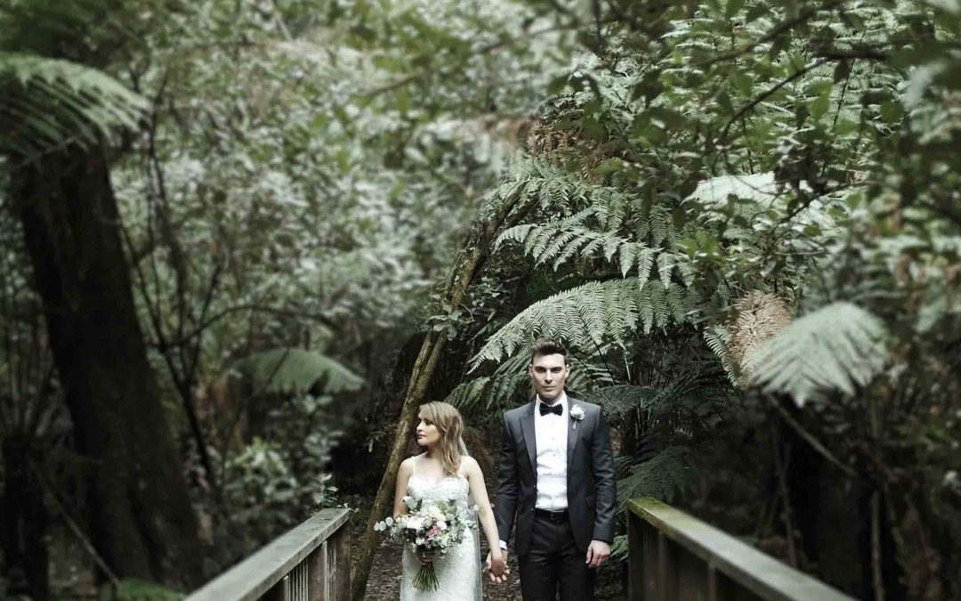 Lyrebird Falls Wedding Video, Stefan and Natalie